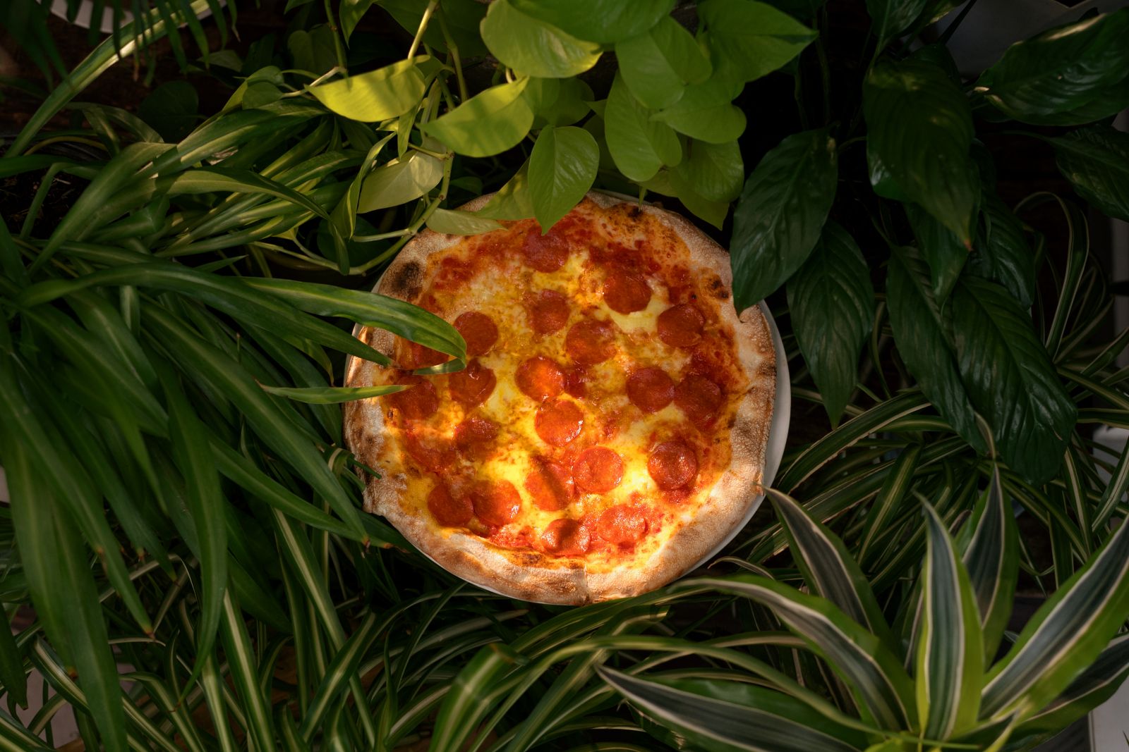 Pizza In Grass